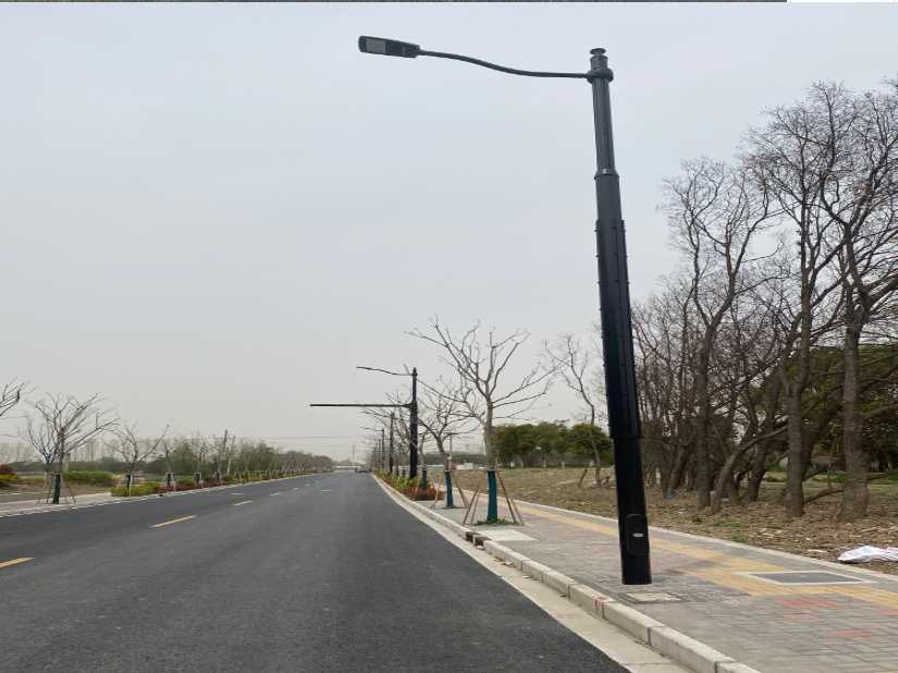 林西县上海综合杆 太阳能路灯工程